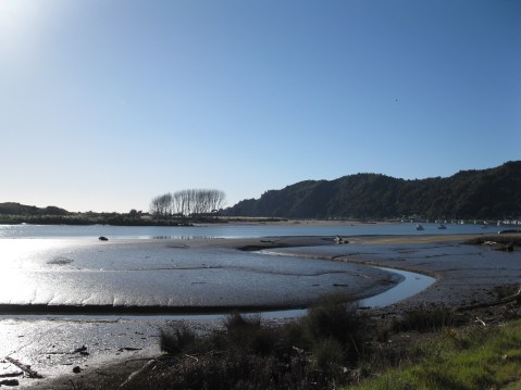 Whakatane river