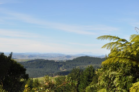 View to the mountains