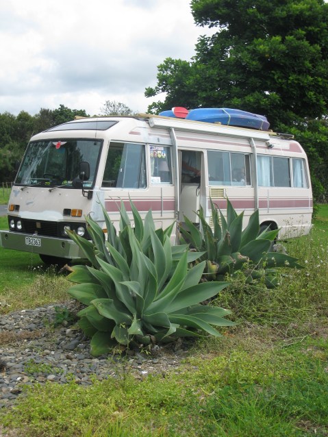 Kiwi Blog Bus - Before