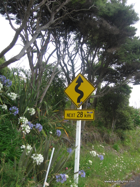 A wild out west road