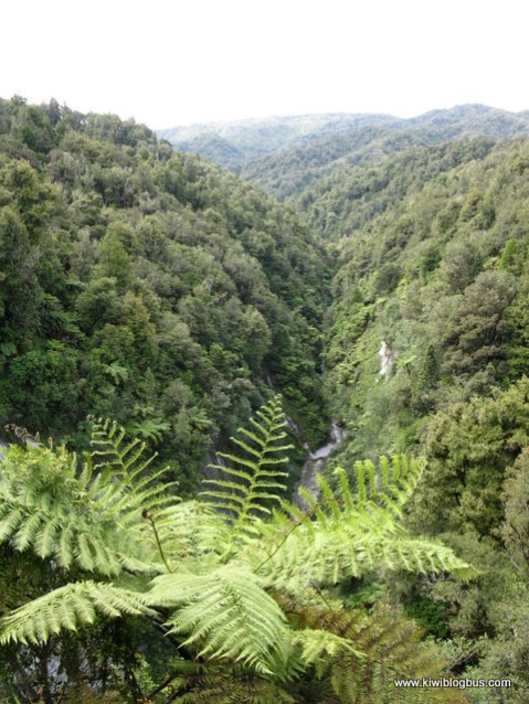 walk to Mount Damper Falls