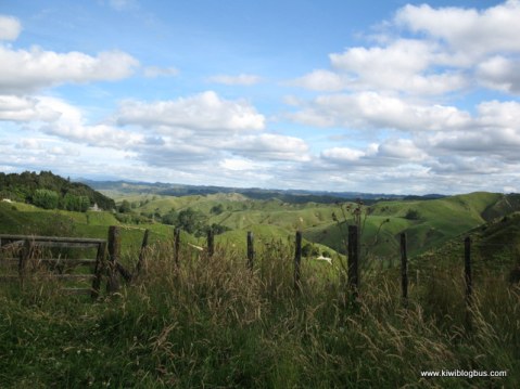 The Forgotten World Highway