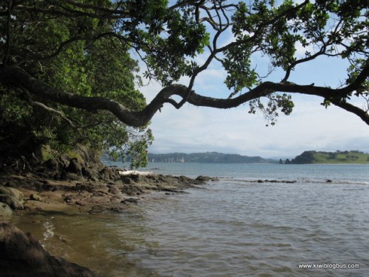 Simpsons Beach, Coromandel