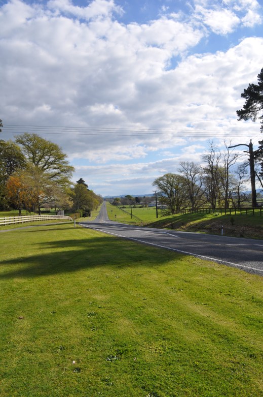 The road down to Matamata from Firth Tower Reserve and Museum