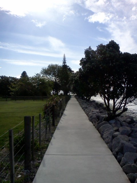 Ferguson Park, Tauranga