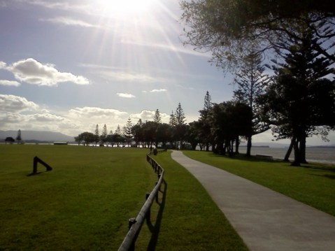 Ferguson Park, Tauranga