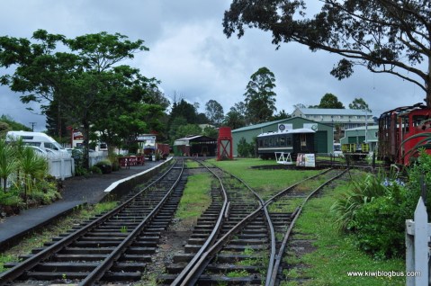 Kawakawa COPYRIGHT KIWI BLOG BUS