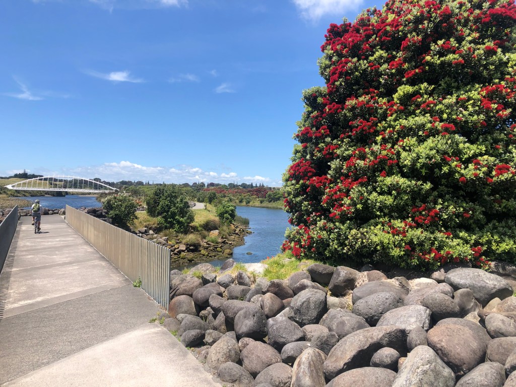 The Coastal Walkway and the Te Rewa Rewa Bridge near New Plymouth