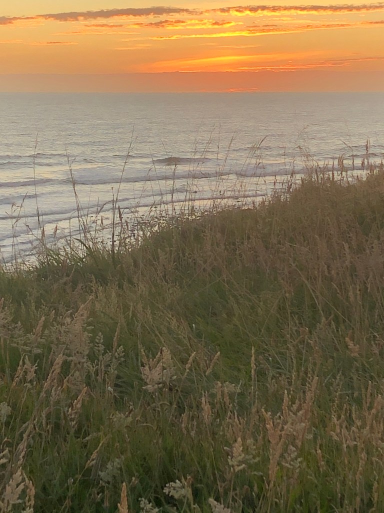 Ohawe Beach - visited by Kiwi Blog Bus