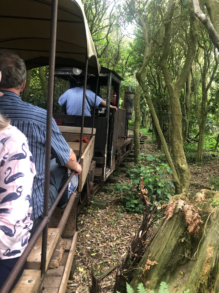 Tawhiti Museum visit by Kiwi Blog Bus